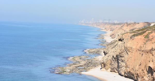7 אתרי הצלילה המומלצים ביותר בים התיכון: המקומות שמחזירים אהבה לים